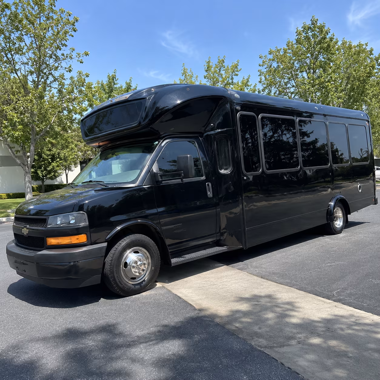 castle rock 15 passenger party bus